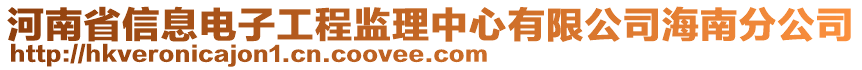 河南省信息電子工程監(jiān)理中心有限公司海南分公司