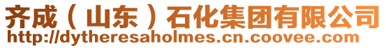 齊成(山東)石化集團有限公司