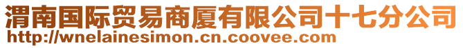 渭南國(guó)際貿(mào)易商廈有限公司十七分公司