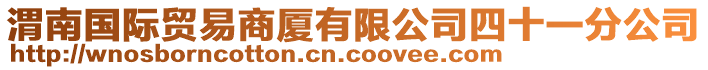 渭南國(guó)際貿(mào)易商廈有限公司四十一分公司