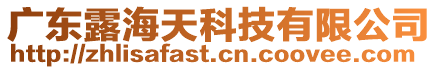 廣東露海天科技有限公司