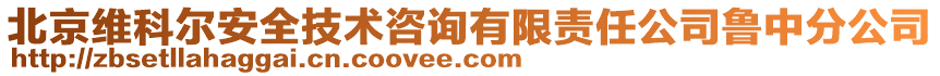 北京維科爾安全技術(shù)咨詢有限責(zé)任公司魯中分公司