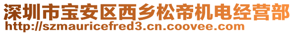 深圳市寶安區(qū)西鄉(xiāng)松帝機電經(jīng)營部