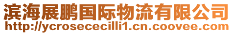 濱海展鵬國(guó)際物流有限公司