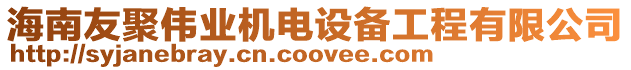 海南友聚偉業(yè)機電設(shè)備工程有限公司