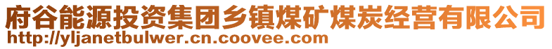 府谷能源投資集團鄉(xiāng)鎮(zhèn)煤礦煤炭經營有限公司