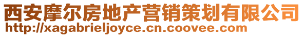 西安摩爾房地產(chǎn)營銷策劃有限公司