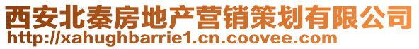 西安北秦房地產營銷策劃有限公司