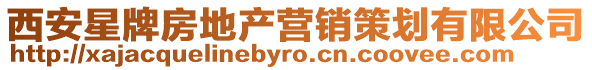 西安星牌房地產(chǎn)營(yíng)銷策劃有限公司