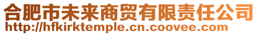合肥市未來商貿(mào)有限責(zé)任公司