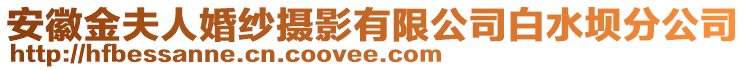 安徽金夫人婚紗攝影有限公司白水壩分公司