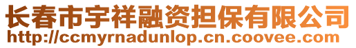 長春市宇祥融資擔保有限公司