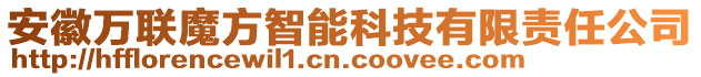安徽萬(wàn)聯(lián)魔方智能科技有限責(zé)任公司