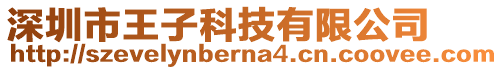 深圳市王子科技有限公司
