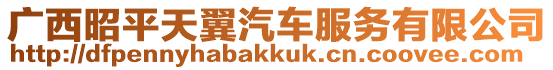 廣西昭平天翼汽車服務(wù)有限公司
