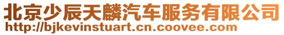 北京少辰天麟汽車服務有限公司