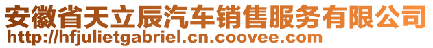 安徽省天立辰汽車銷售服務有限公司