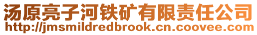 湯原亮子河鐵礦有限責任公司
