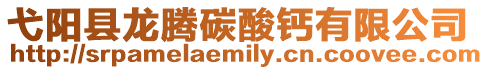 弋陽縣龍騰碳酸鈣有限公司