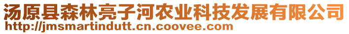 湯原縣森林亮子河農(nóng)業(yè)科技發(fā)展有限公司