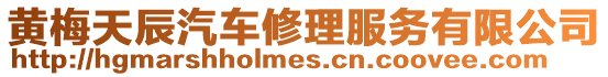 黃梅天辰汽車修理服務有限公司