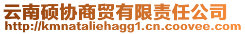 云南碩協(xié)商貿(mào)有限責(zé)任公司