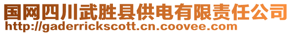 國網四川武勝縣供電有限責任公司