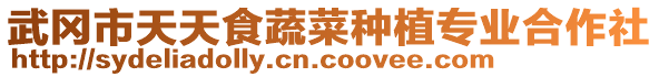 武岡市天天食蔬菜種植專業(yè)合作社