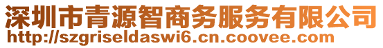 深圳市青源智商務(wù)服務(wù)有限公司