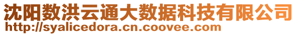 沈陽數(shù)洪云通大數(shù)據(jù)科技有限公司