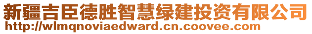 新疆吉臣德勝智慧綠建投資有限公司