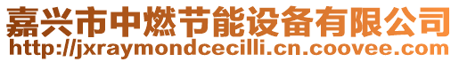 嘉興市中燃節(jié)能設備有限公司