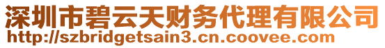 深圳市碧云天財(cái)務(wù)代理有限公司