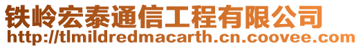 鐵嶺宏泰通信工程有限公司