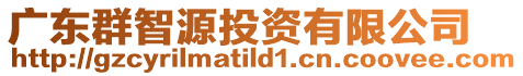 廣東群智源投資有限公司