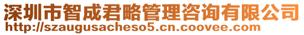 深圳市智成君略管理咨詢有限公司