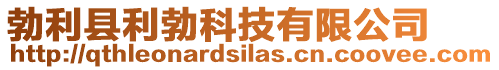 勃利縣利勃科技有限公司
