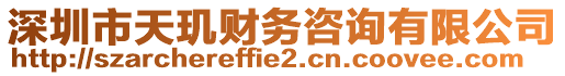 深圳市天璣財(cái)務(wù)咨詢有限公司