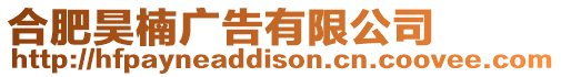 合肥昊楠廣告有限公司