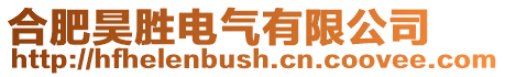 合肥昊勝電氣有限公司