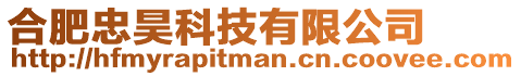 合肥忠昊科技有限公司