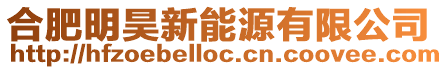 合肥明昊新能源有限公司