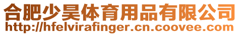 合肥少昊體育用品有限公司