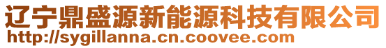 遼寧鼎盛源新能源科技有限公司