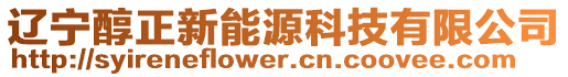 辽宁醇正新能源科技有限公司