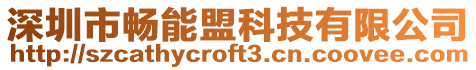 深圳市暢能盟科技有限公司