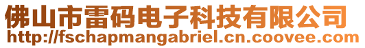佛山市雷碼電子科技有限公司