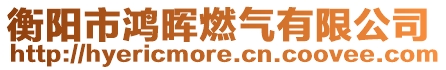 衡陽市鴻暉燃氣有限公司