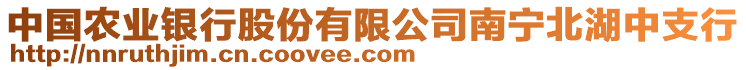 中國農業銀行股份有限公司南寧北湖中支行