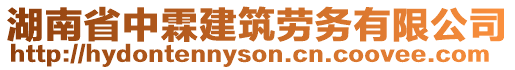 湖南省中霖建筑勞務有限公司